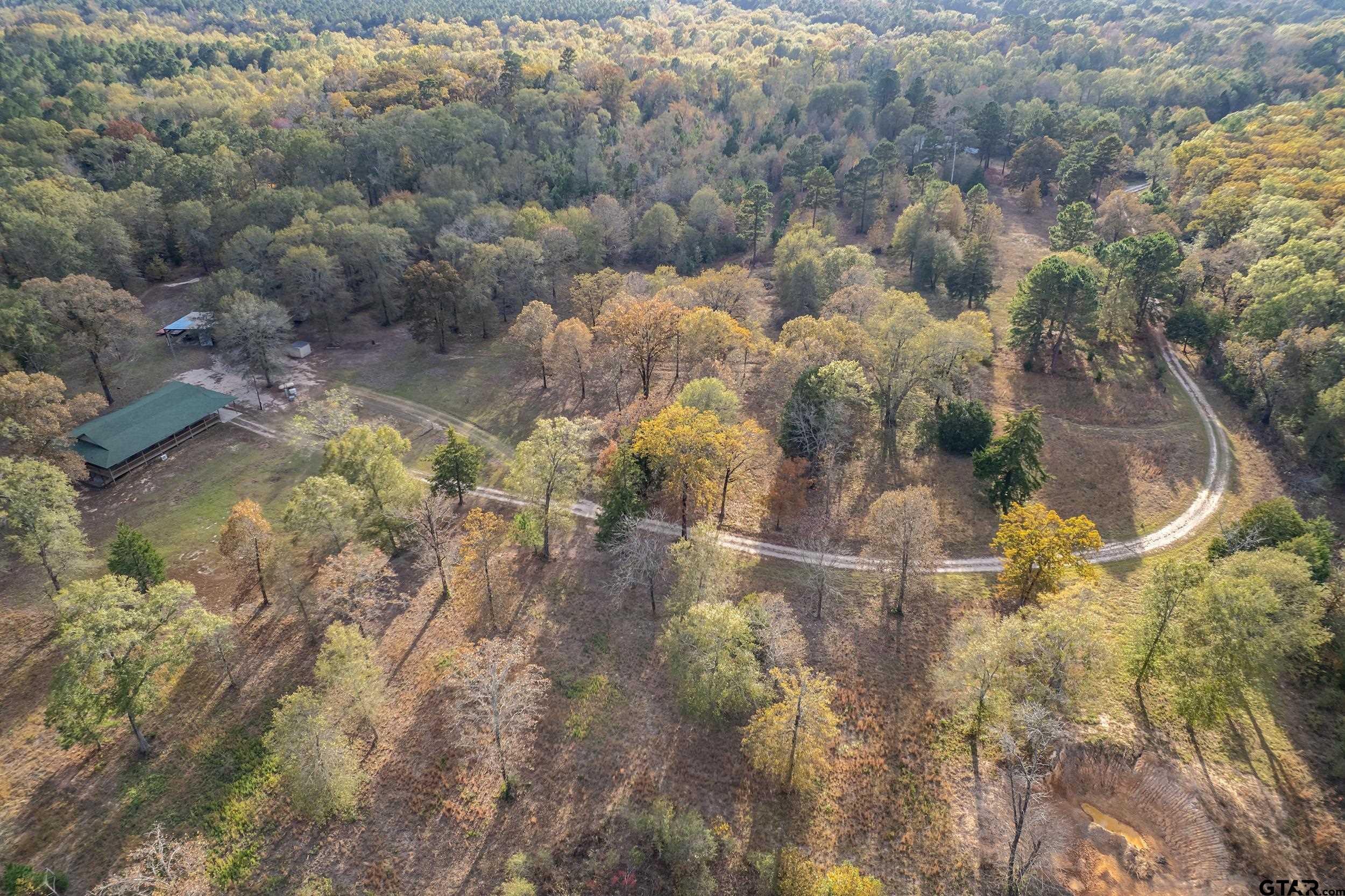 20304 State Highway 155 Winona, TX 75792 - Photo 4 of 48 a view of a yard