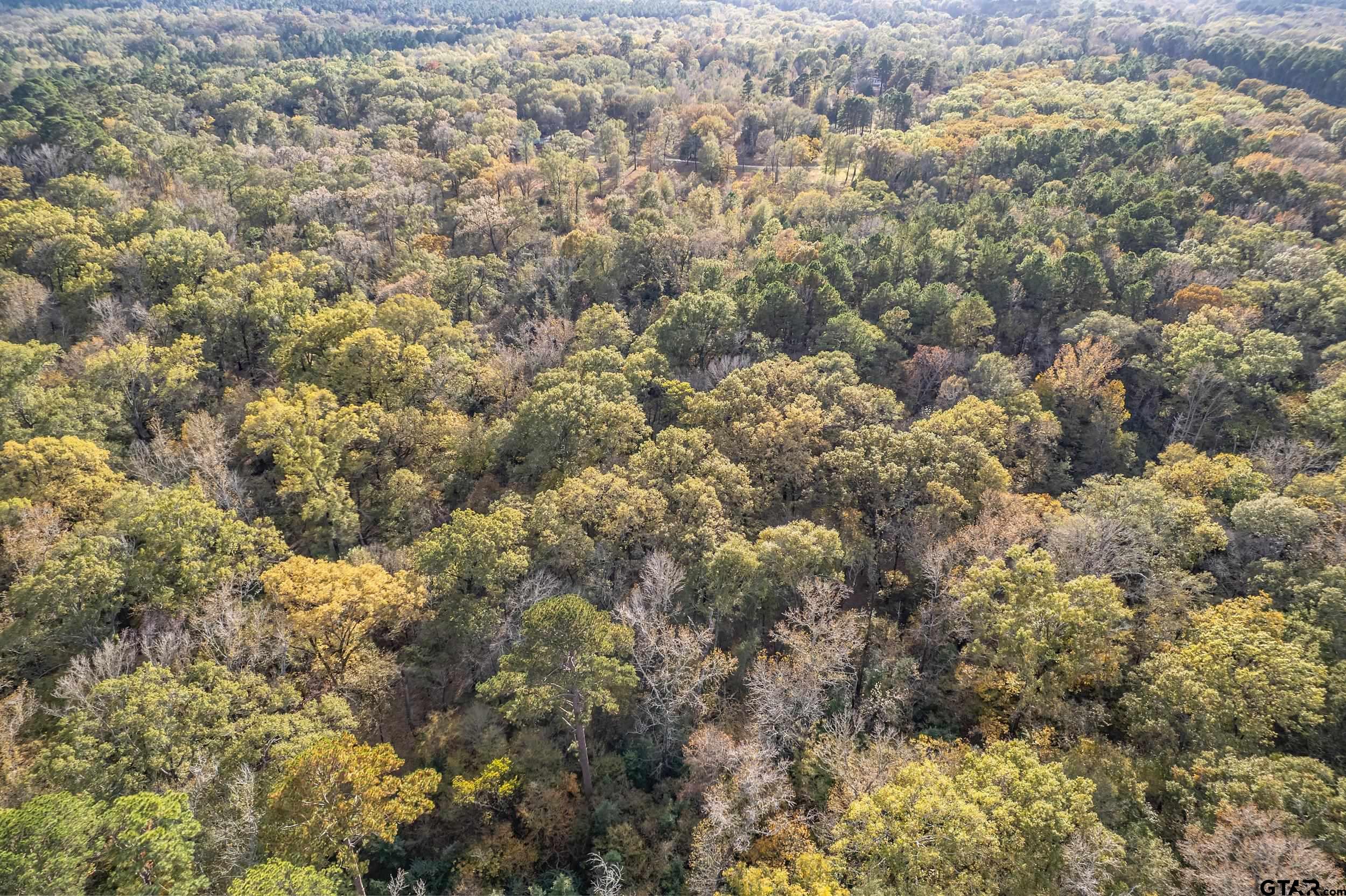 20304 State Highway 155 Winona, TX 75792 - Photo 5 of 48