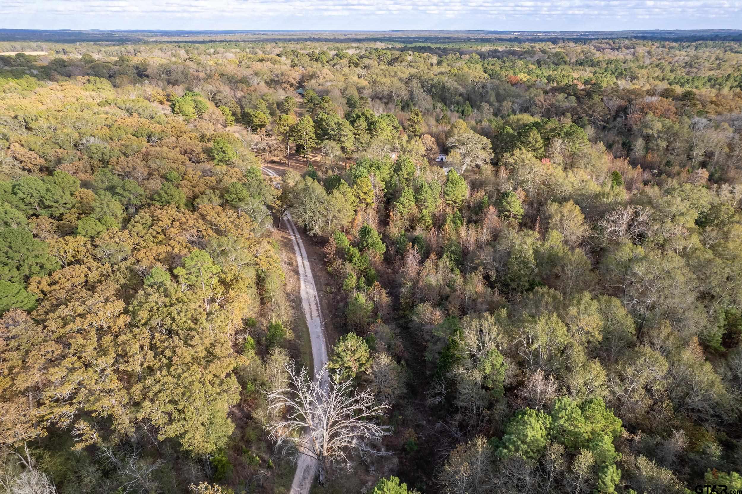 20304 State Highway 155 Winona, TX 75792 - Photo 9 of 48 a view of a yard