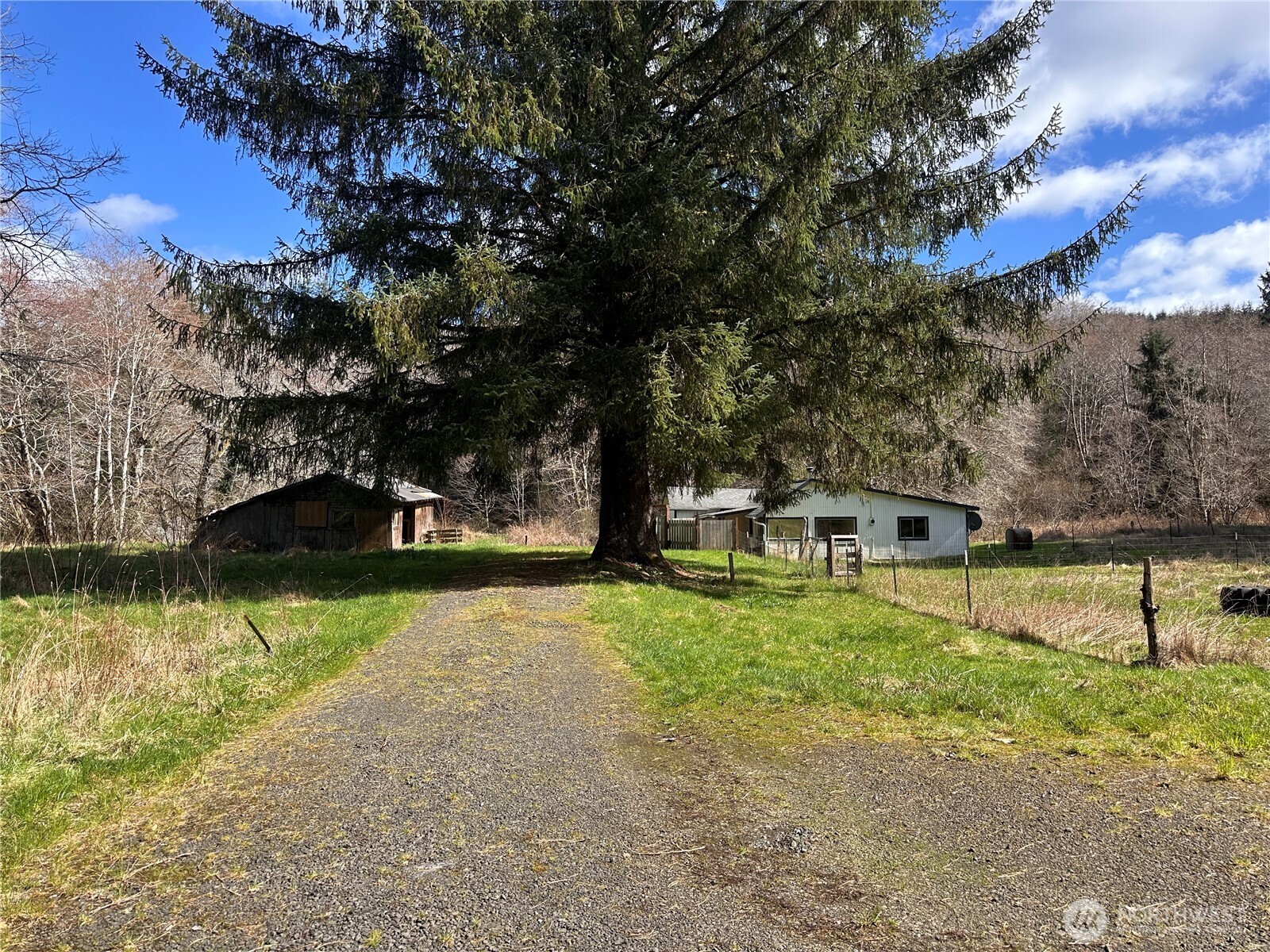 310 Butte Creek Road Raymond, WA 98577 - Photo 2 of 25 a view of house with a yard