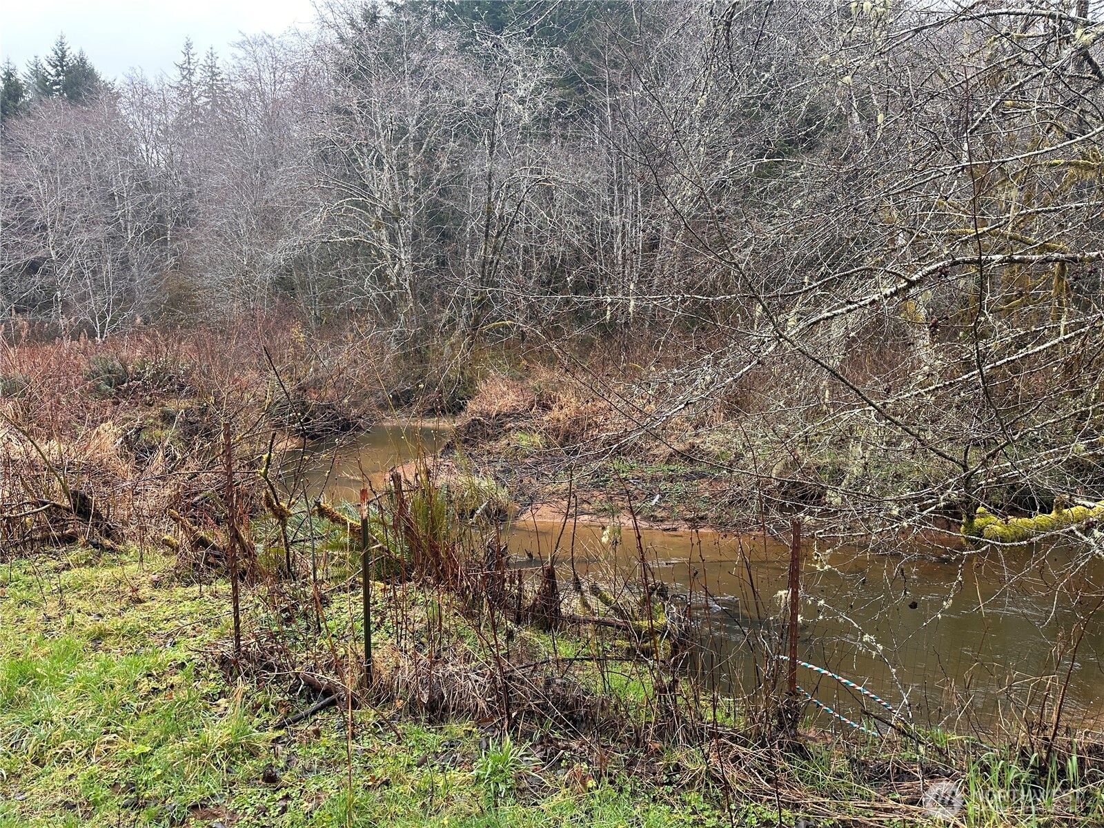 310 Butte Creek Road Raymond, WA 98577 - Photo 23 of 25