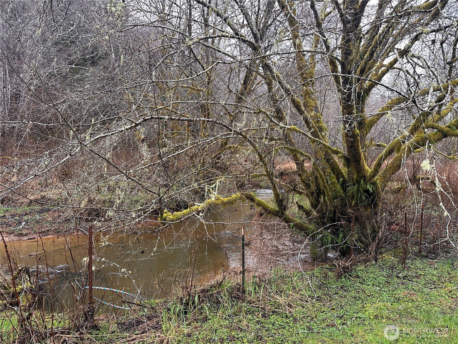 310 Butte Creek Road Raymond, WA 98577 - Photo 24 of 25 a backyard of a building