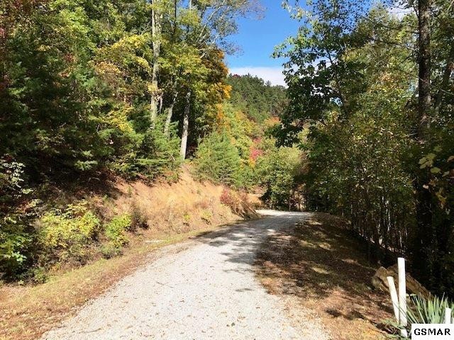 26 Bluff Mountain Road Sevierville, TN 37876 - Photo 3 of 11