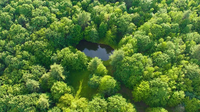 $629,000 | 4191 Pine Swamp Road, Sidney, NY 13839