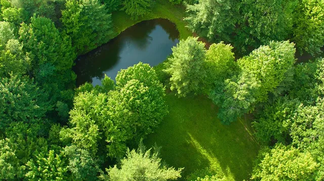 $629,000 | 4191 Pine Swamp Road, Sidney, NY 13839