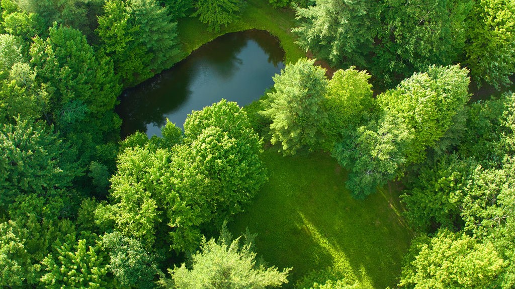 4191 Pine Swamp Road Sidney, NY 13839 - Photo 22 of 32