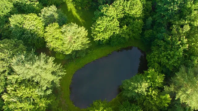 $629,000 | 4191 Pine Swamp Road, Sidney, NY 13839