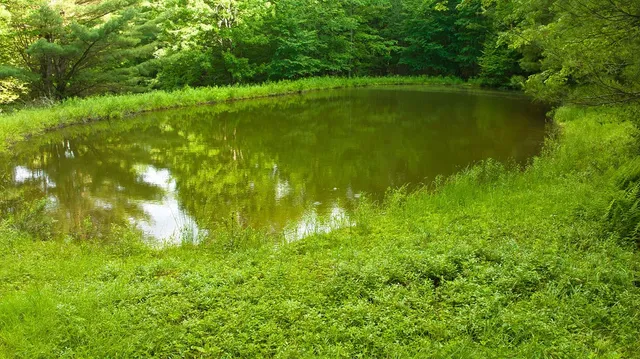 $629,000 | 4191 Pine Swamp Road, Sidney, NY 13839