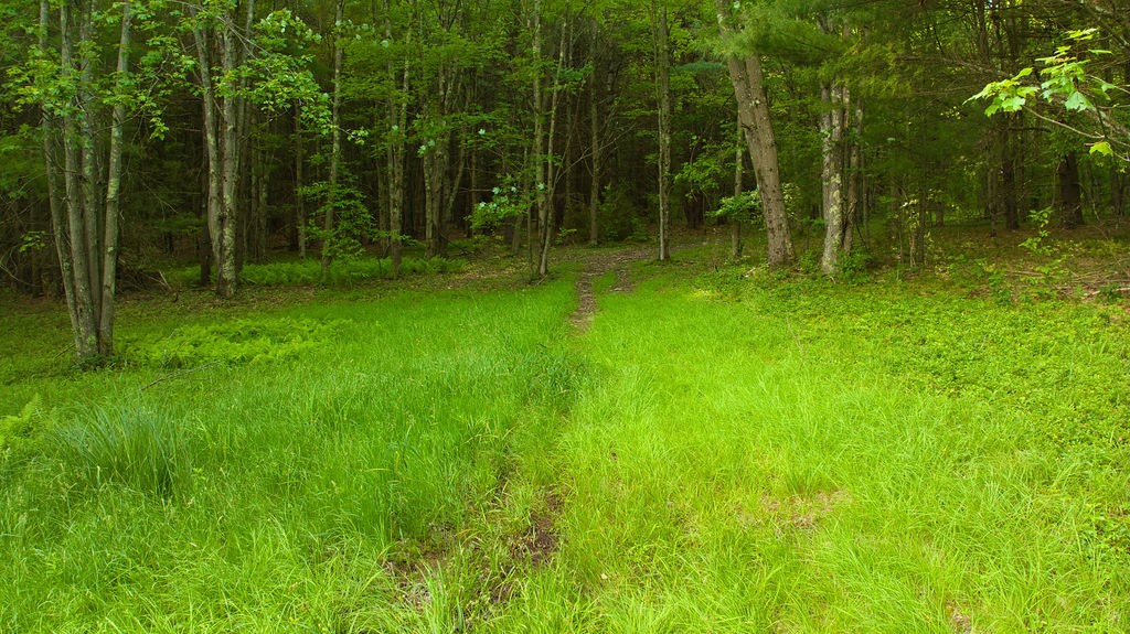 4191 Pine Swamp Road Sidney, NY 13839 - Photo 25 of 32