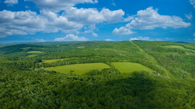 $629,000 | 4191 Pine Swamp Road, Sidney, NY 13839