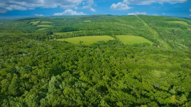 $629,000 | 4191 Pine Swamp Road, Sidney, NY 13839