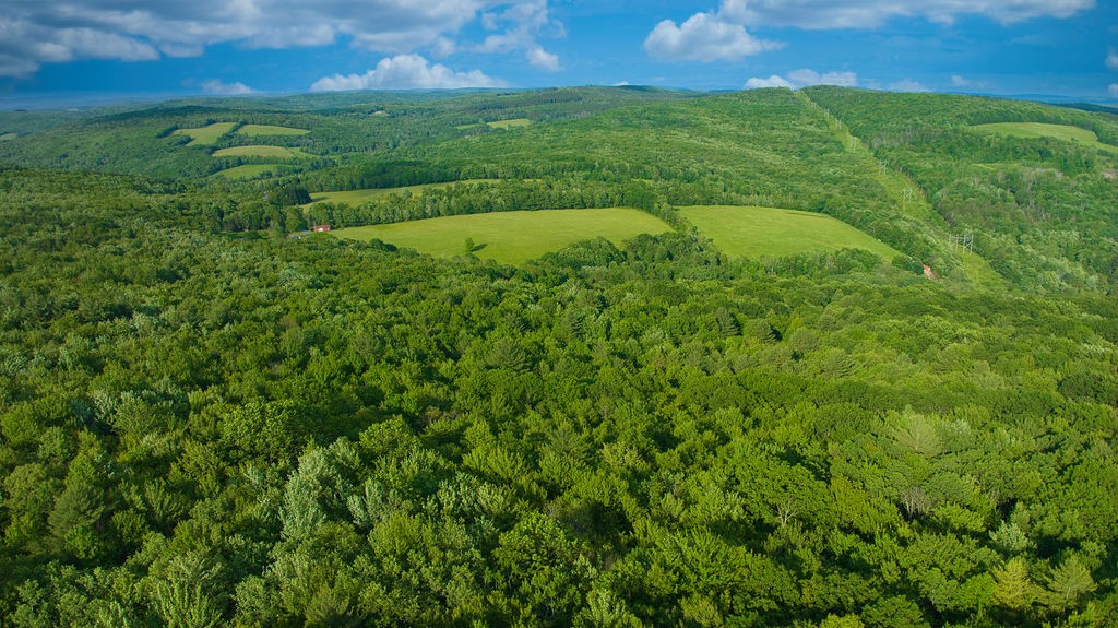 4191 Pine Swamp Road Sidney, NY 13839 - Photo 28 of 32