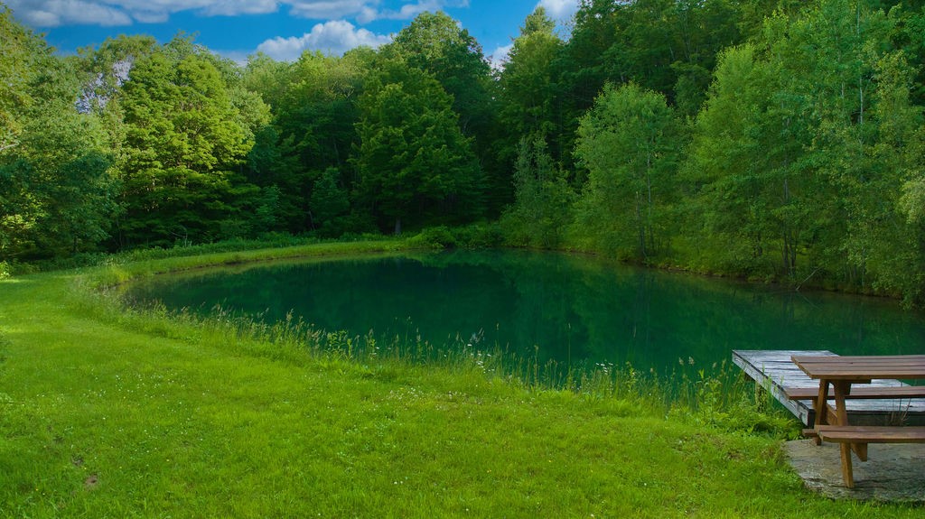 4191 Pine Swamp Road Sidney, NY 13839 - Photo 30 of 32