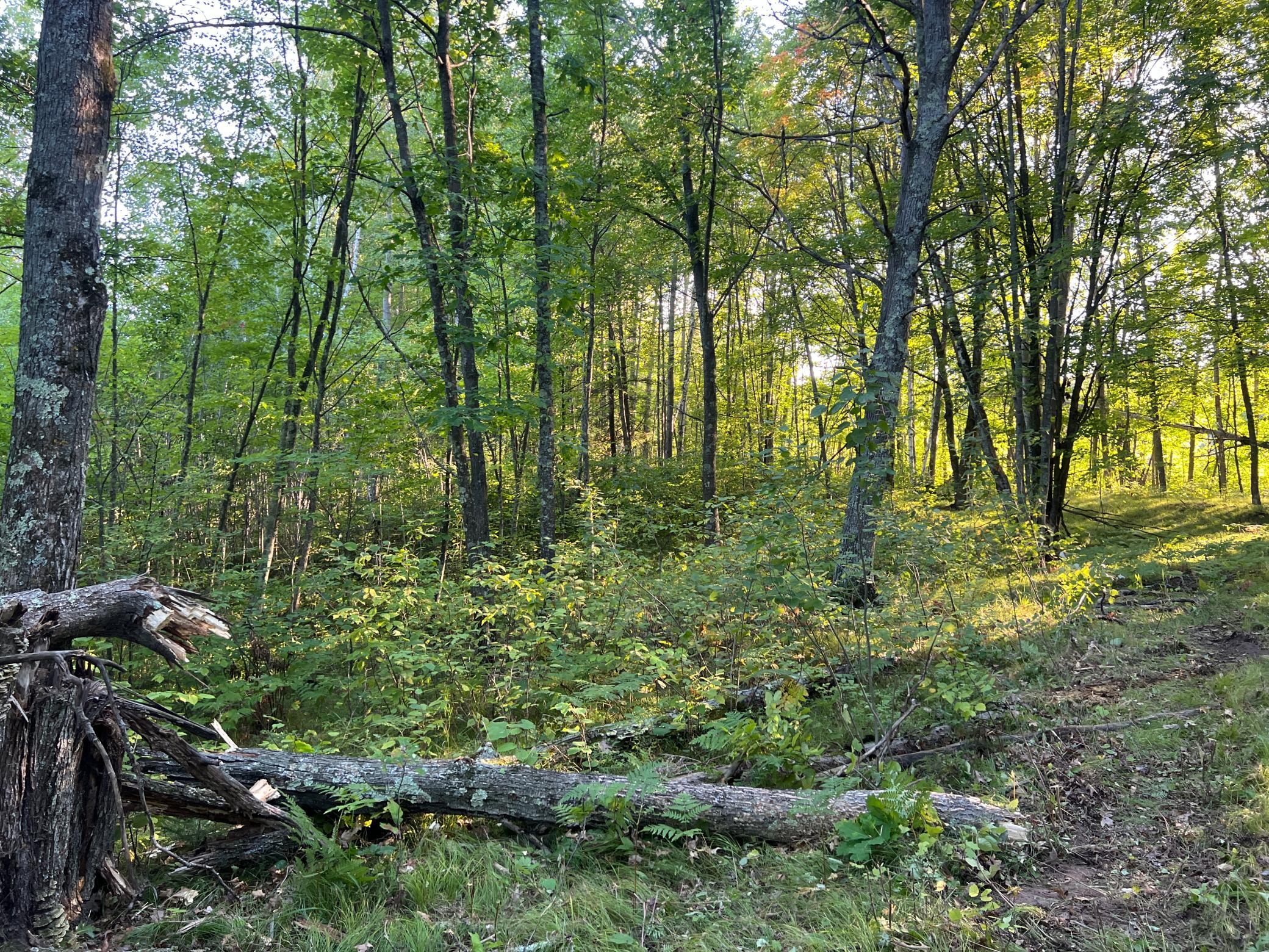 0 Dell Road Finlayson, MN 55735 - Photo 37 of 50 Gallery Image 37