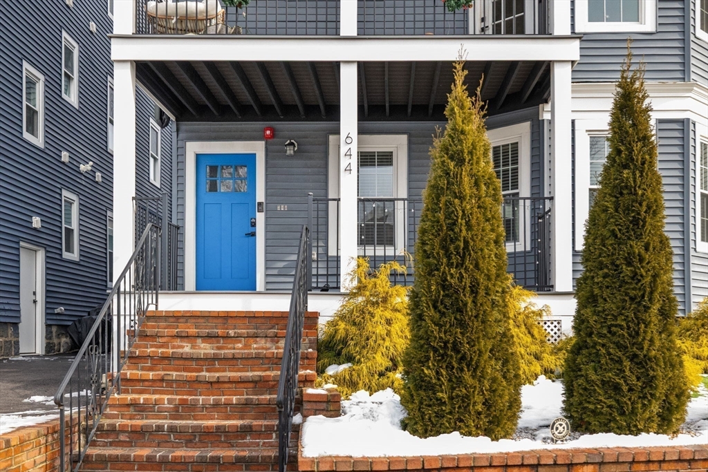 644 Adams Street, Unit 3 Boston, MA 02122 - Photo 32 of 34