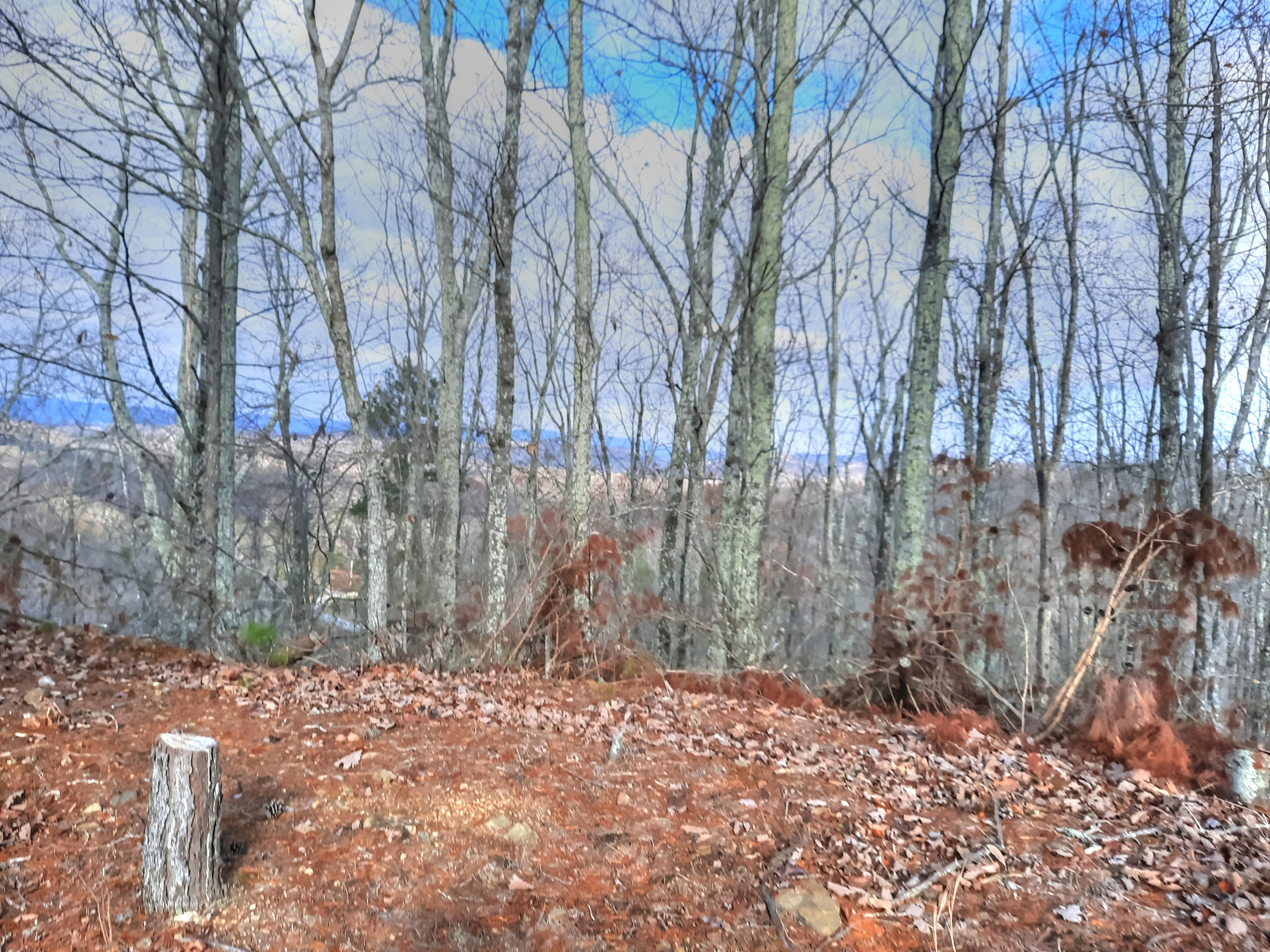 Lot 402 Flint Ridge