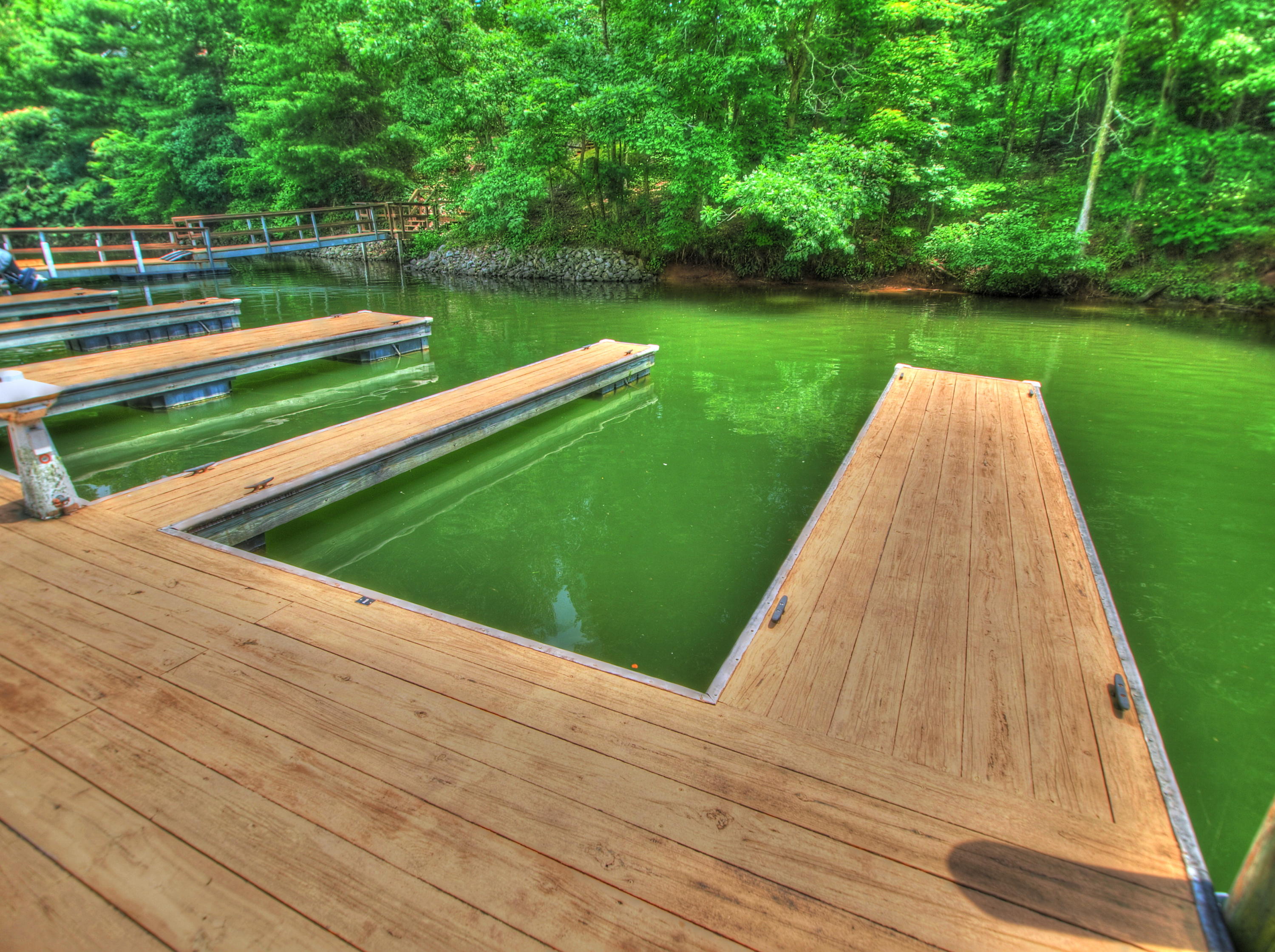 Lot 402 Flint Ridge Road Rockwood, TN 37854 - Photo 8 of 27 Deeded boat slip 19