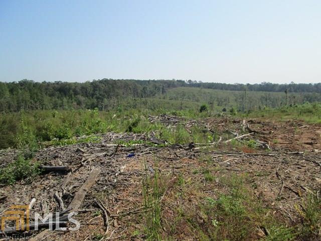 0 Co Rd 579 Graham, AL 36263 - Photo 1 of 1 a view of a yard with a tree