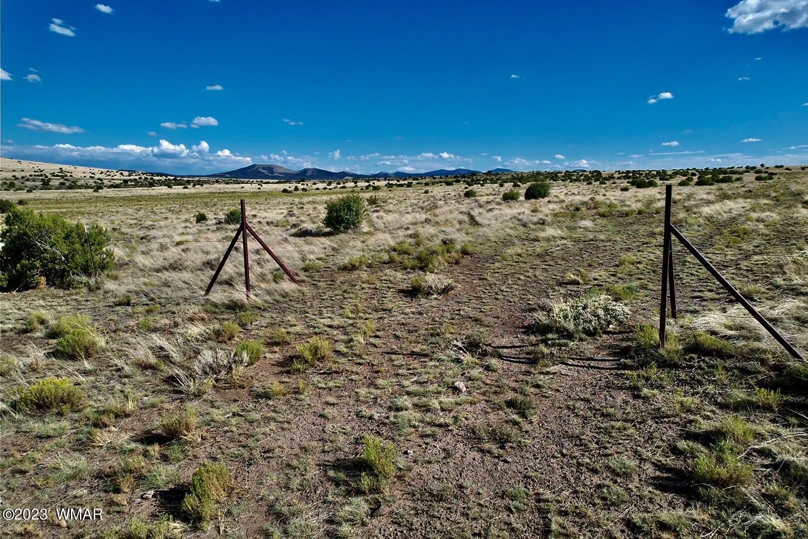 Antelope Antelope Ridge Concho, AZ 85924 - Photo 1 of 20