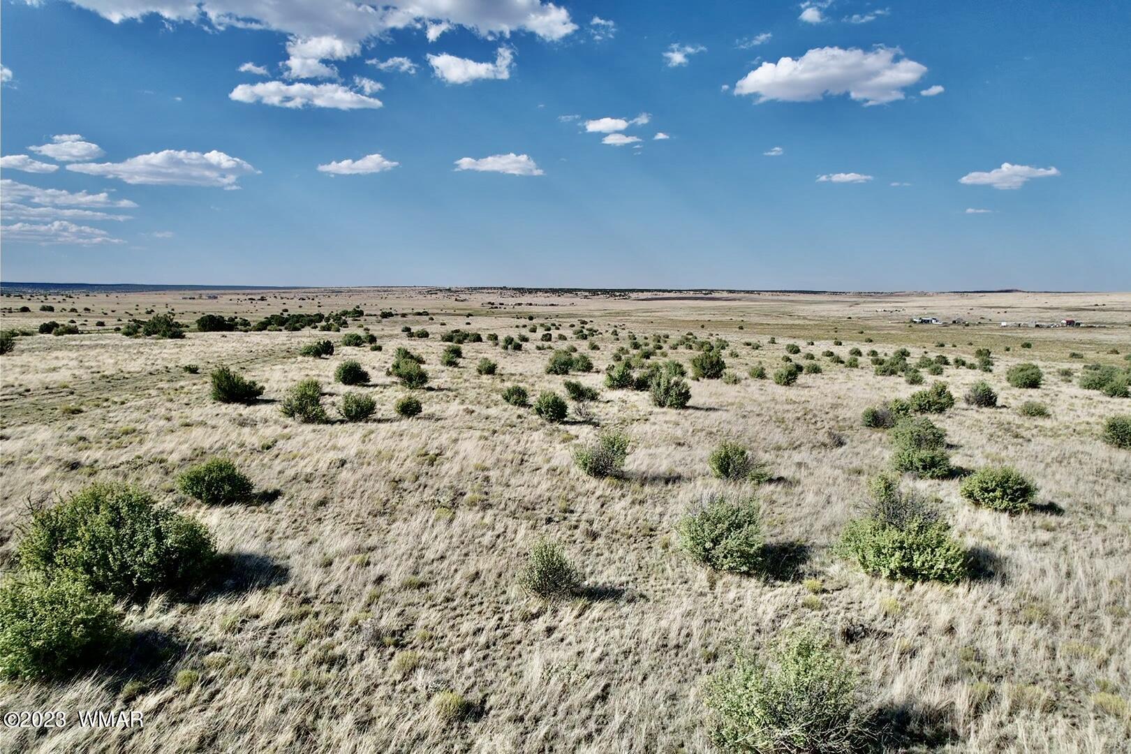 Antelope Antelope Ridge Concho, AZ 85924 - Photo 12 of 20