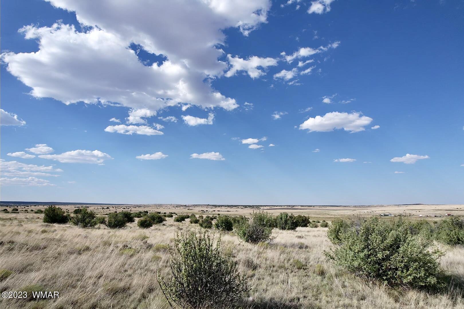 Antelope Antelope Ridge Concho, AZ 85924 - Photo 13 of 20