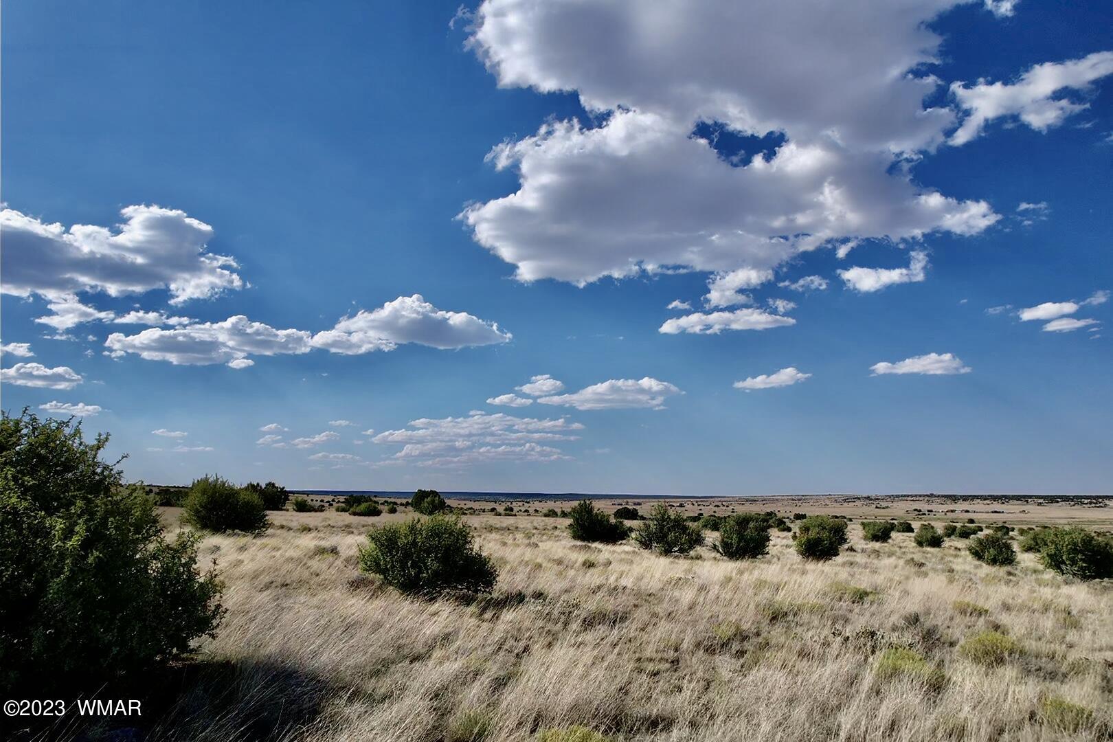 Antelope Antelope Ridge Concho, AZ 85924 - Photo 14 of 20