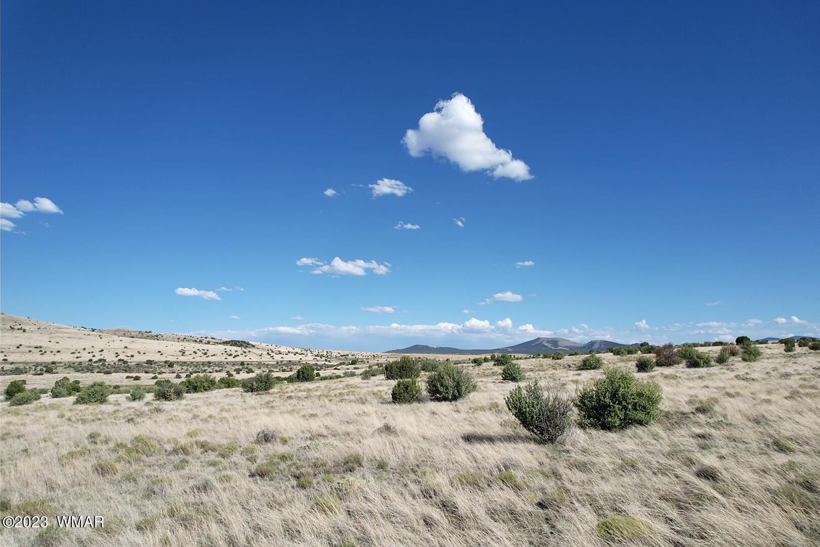 Antelope Antelope Ridge Concho, AZ 85924 - Photo 15 of 20