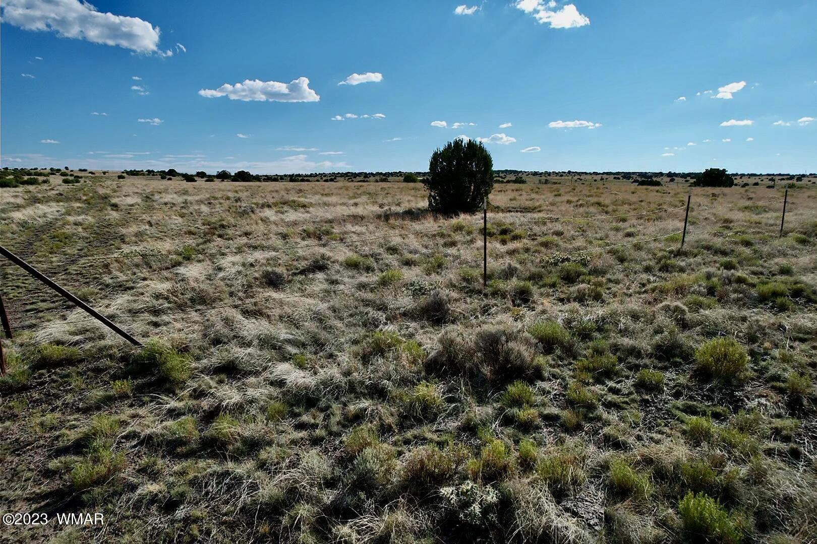 Antelope Antelope Ridge Concho, AZ 85924 - Photo 18 of 20
