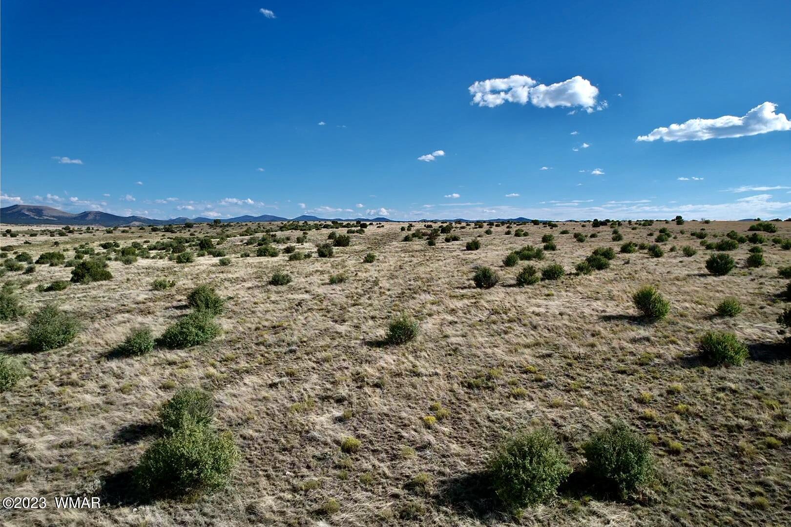 Antelope Antelope Ridge Concho, AZ 85924 - Photo 20 of 20
