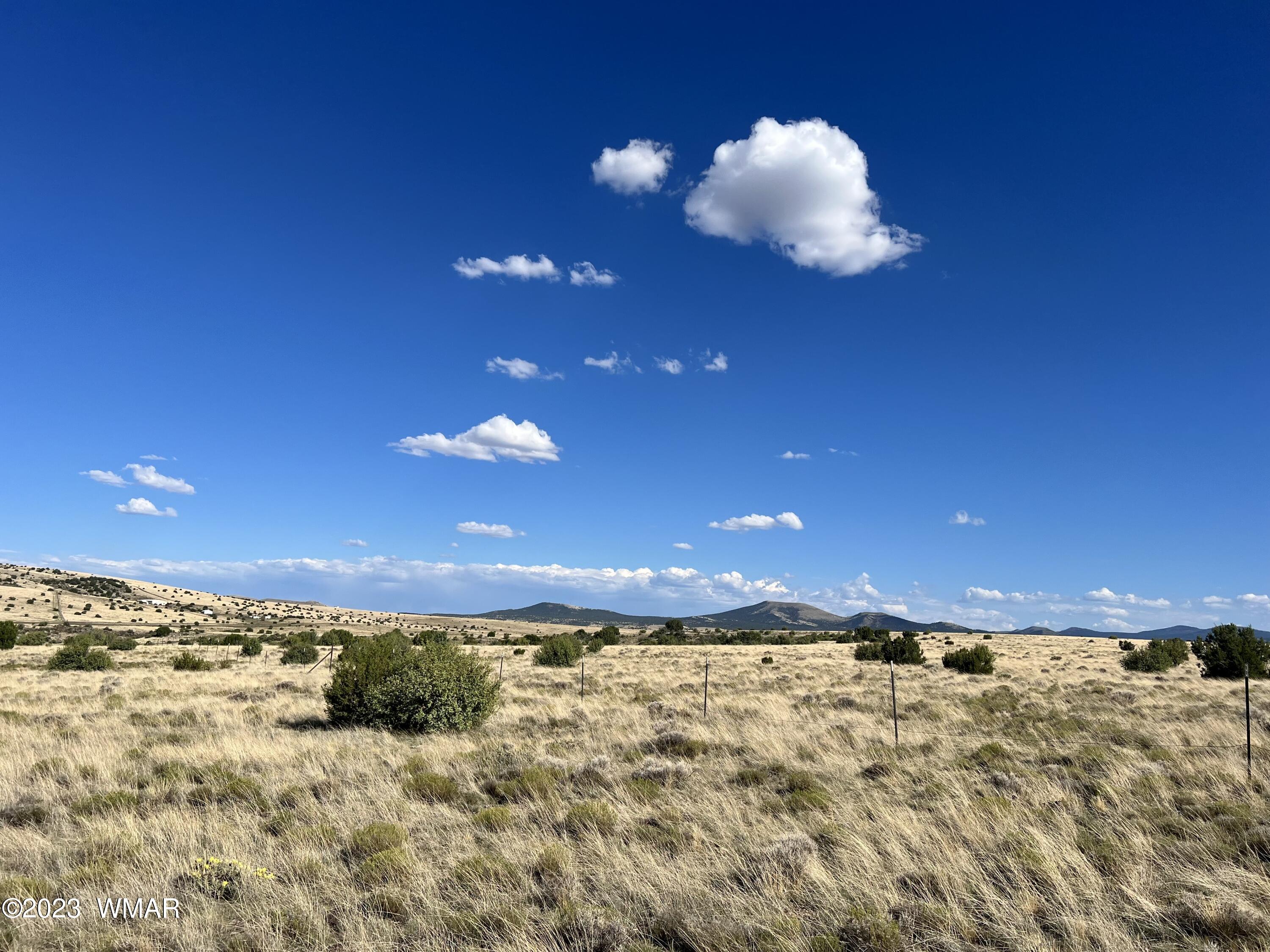 Antelope Antelope Ridge Concho, AZ 85924 - Photo 3 of 20