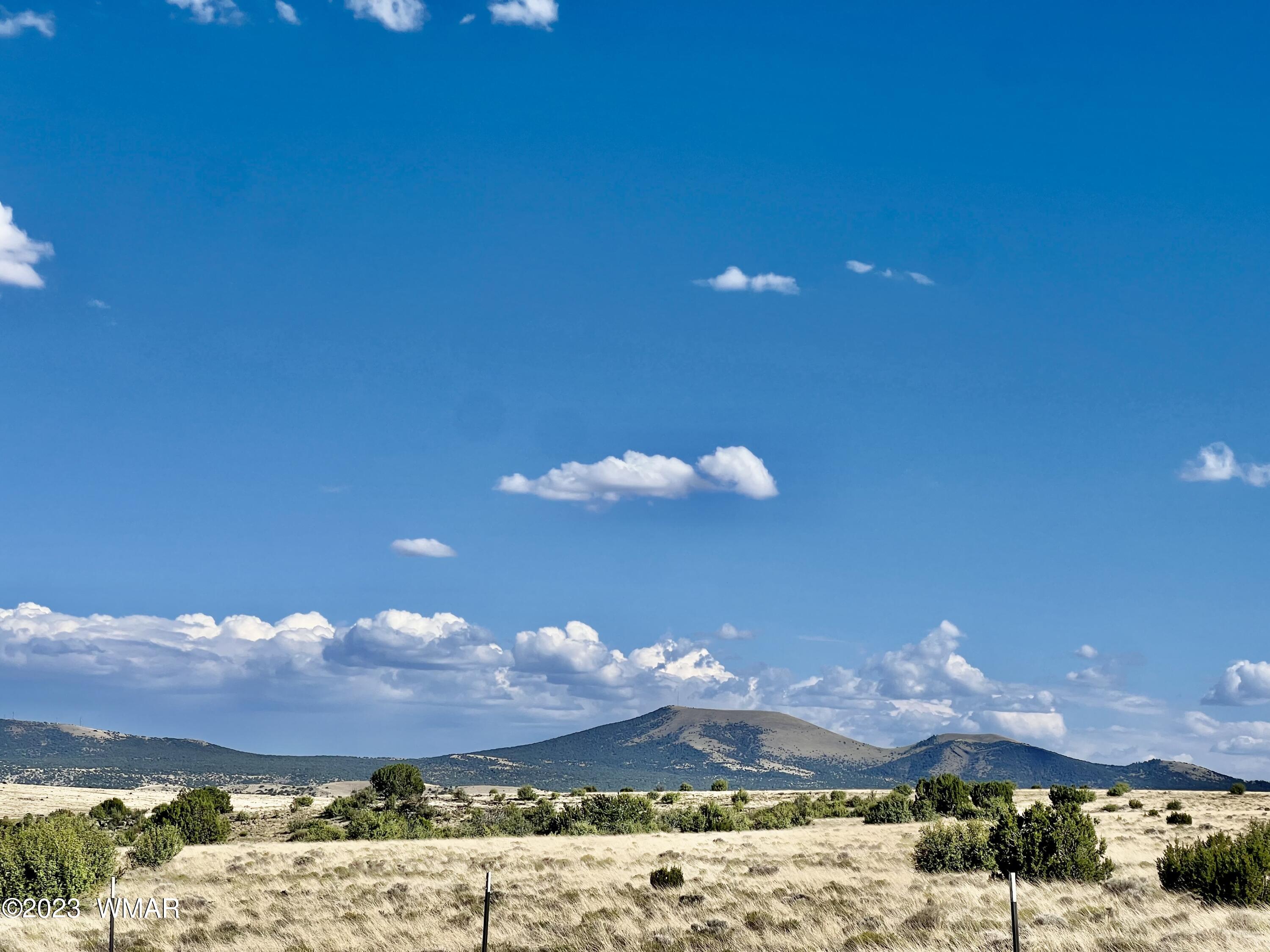 Antelope Antelope Ridge Concho, AZ 85924 - Photo 4 of 20