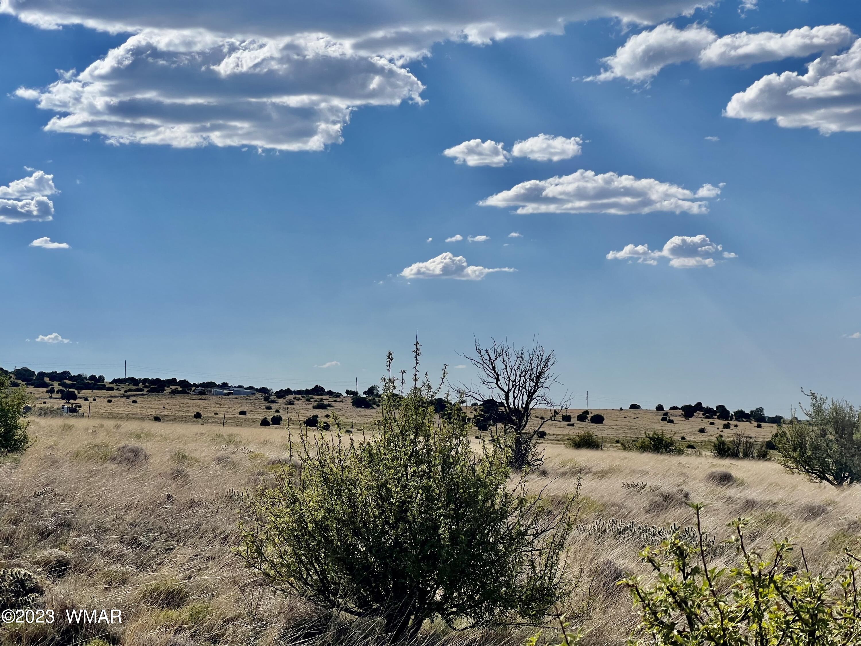 Antelope Antelope Ridge Concho, AZ 85924 - Photo 6 of 20