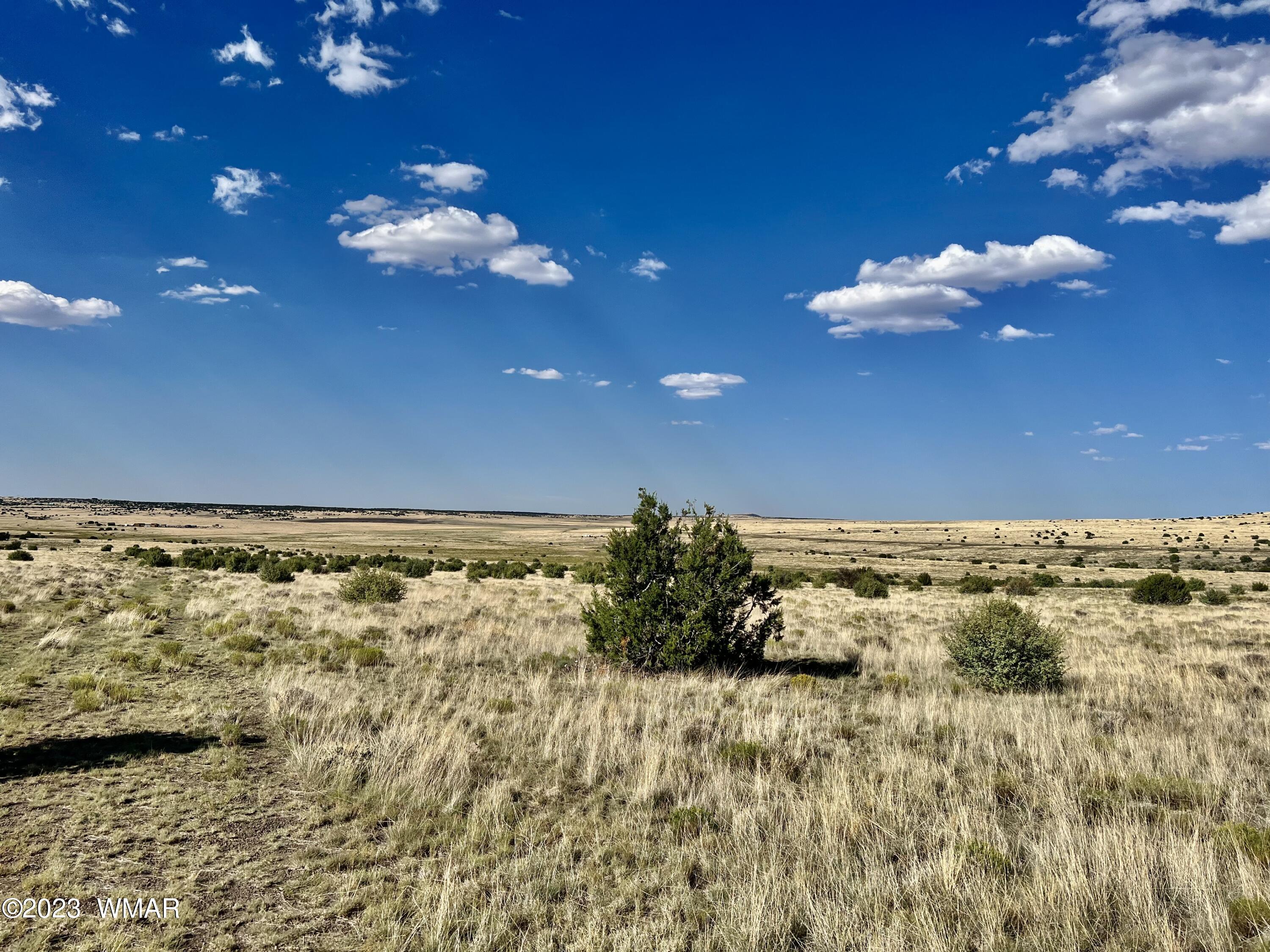 Antelope Antelope Ridge Concho, AZ 85924 - Photo 8 of 20