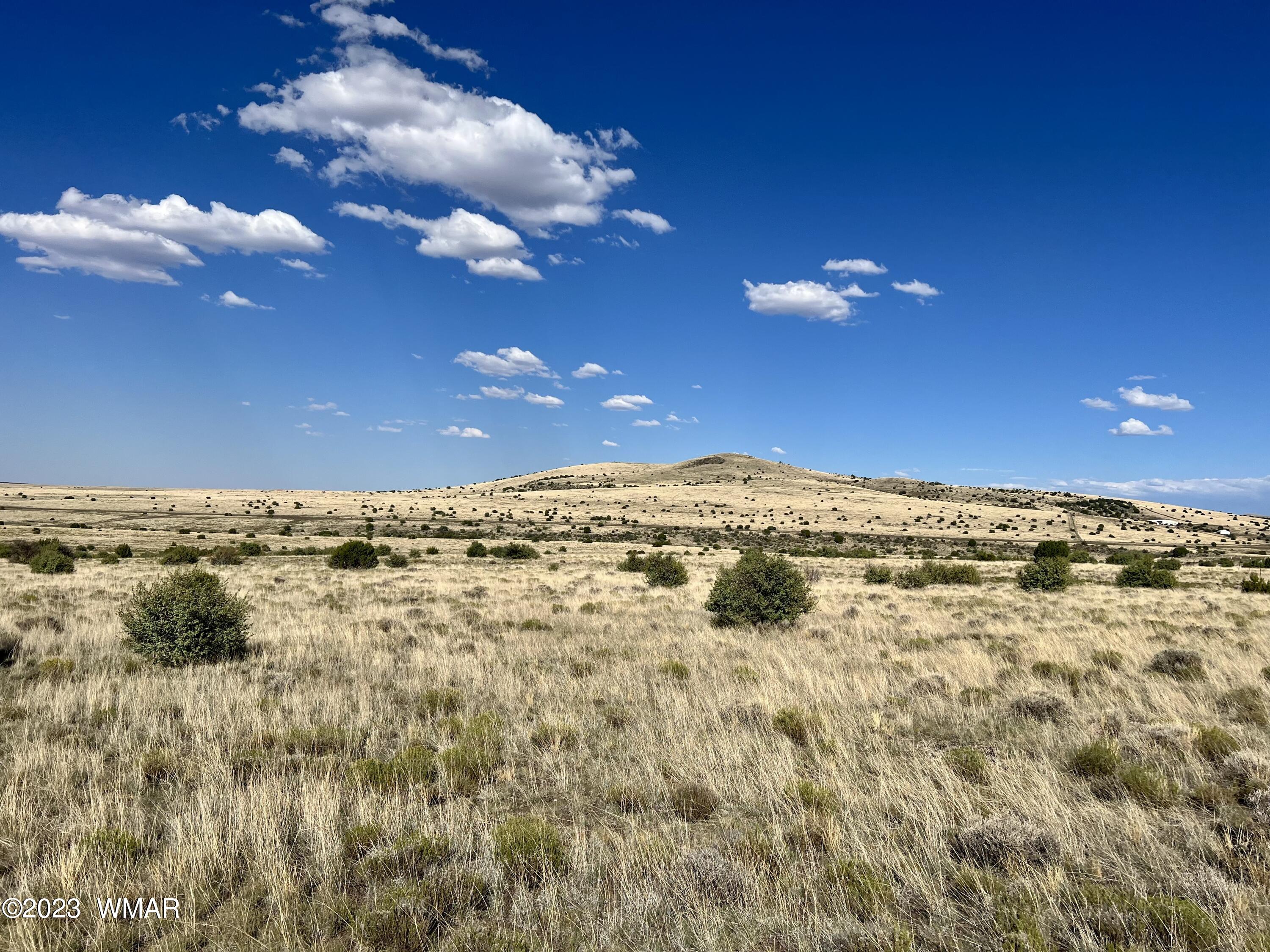 Antelope Antelope Ridge Concho, AZ 85924 - Photo 9 of 20