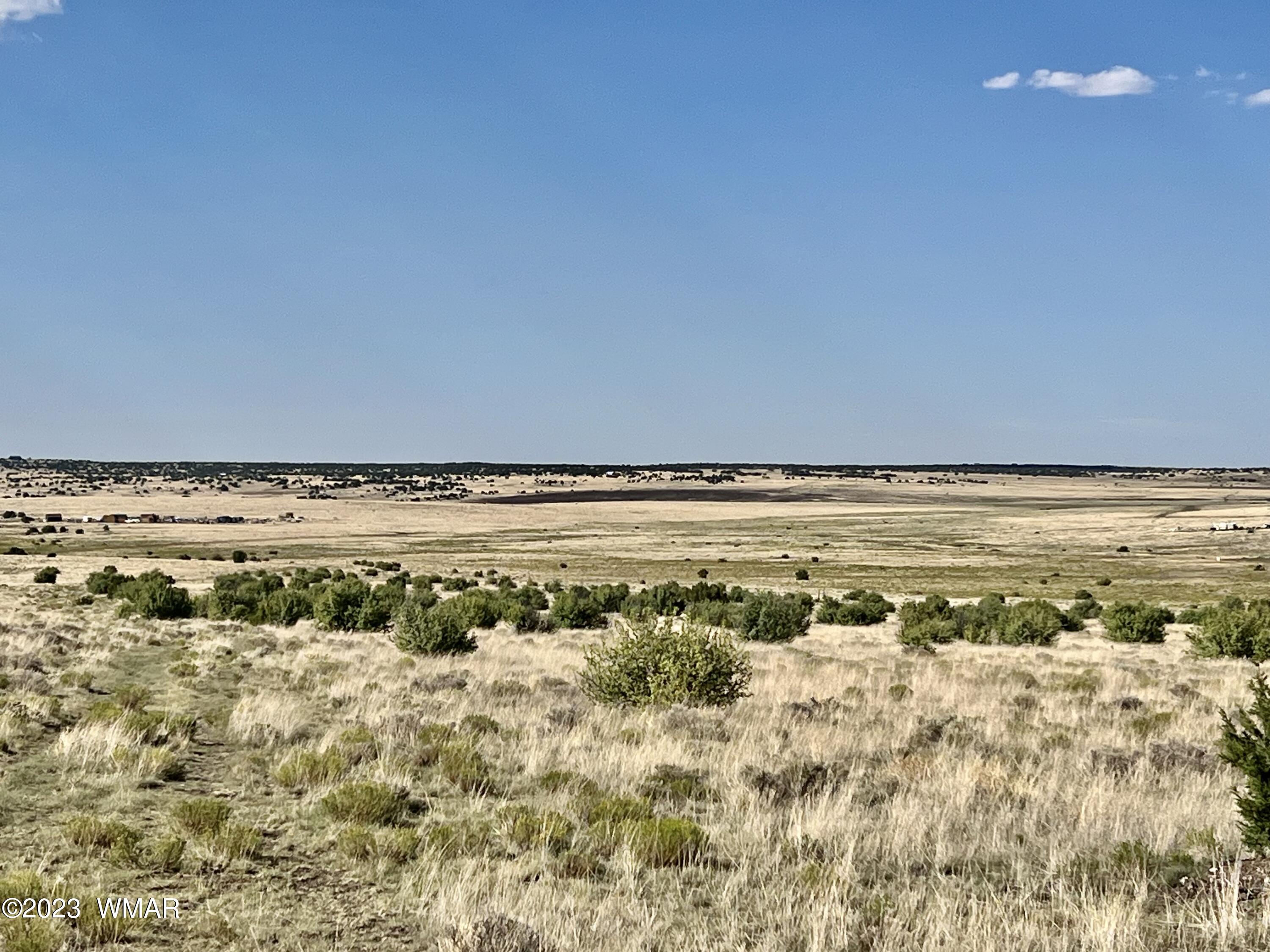Antelope Antelope Ridge Concho, AZ 85924 - Photo 10 of 20