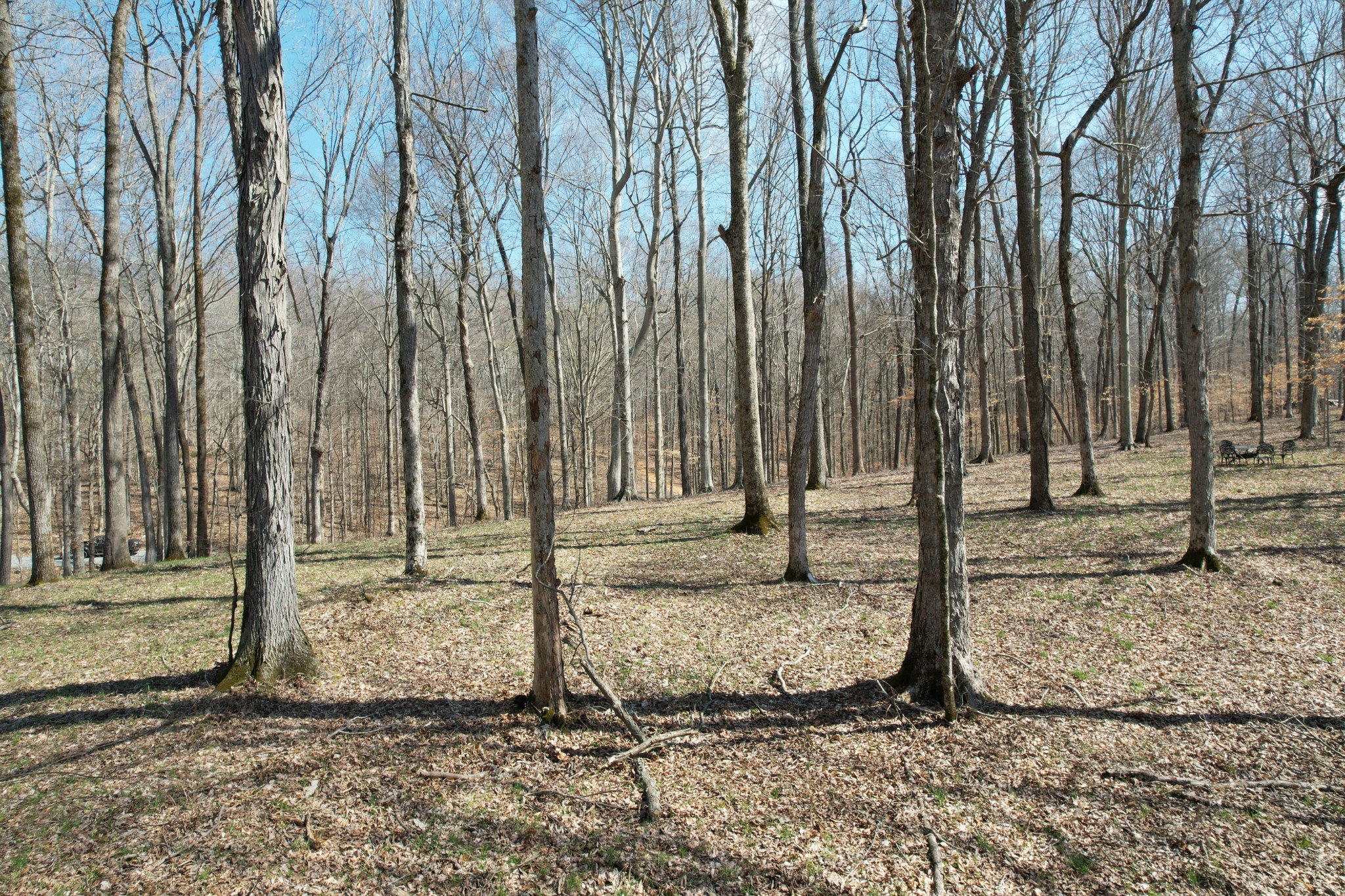 0 Doug Thompson Road Franklin, TN 37064 - Photo 1 of 34 a view of a backyard with trees