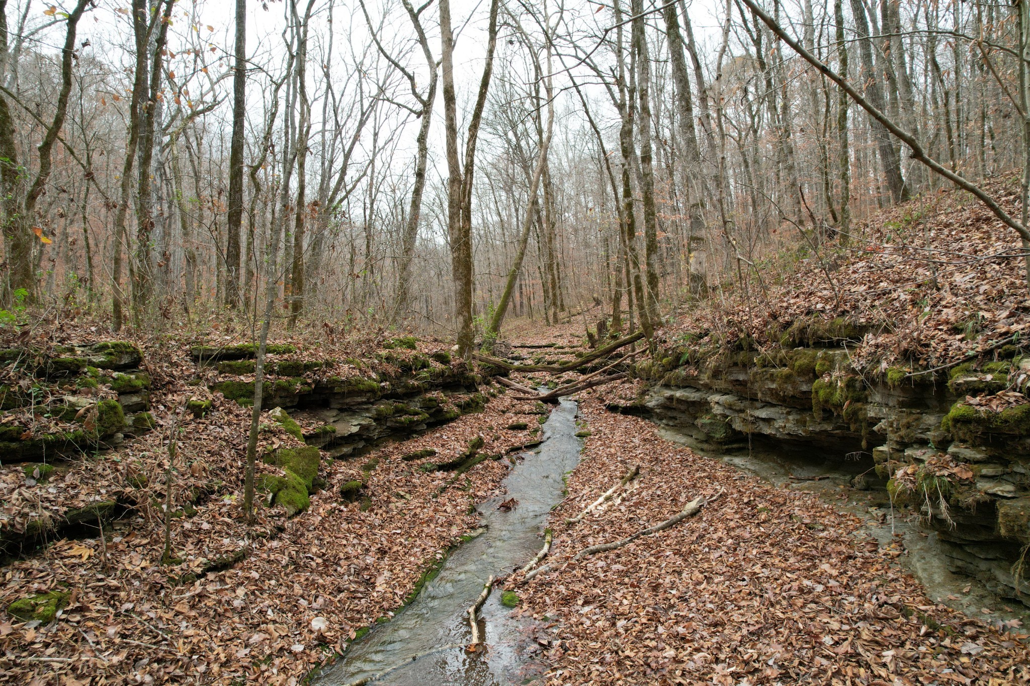 0 Doug Thompson Road Franklin, TN 37064 - Photo 11 of 34 a view of a backyard of the house