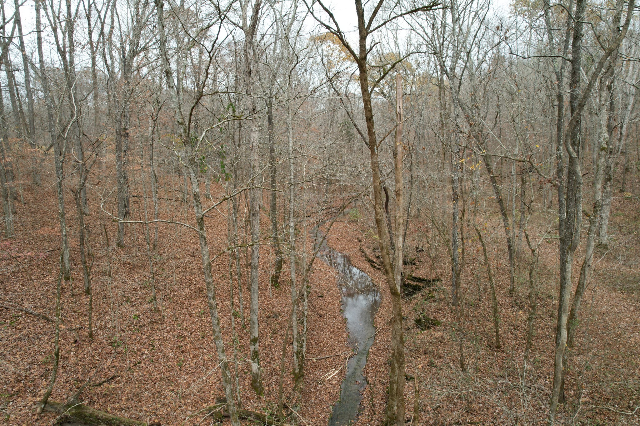 0 Doug Thompson Road Franklin, TN 37064 - Photo 16 of 34