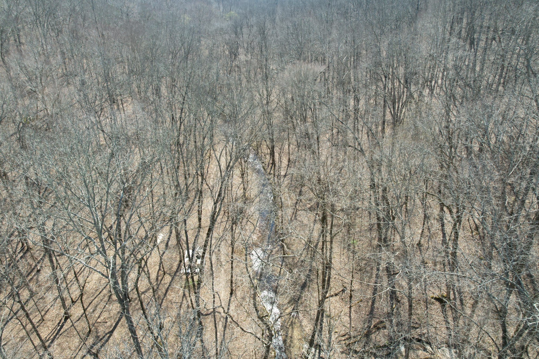 0 Doug Thompson Road Franklin, TN 37064 - Photo 20 of 34 a close up of a wooden wall
