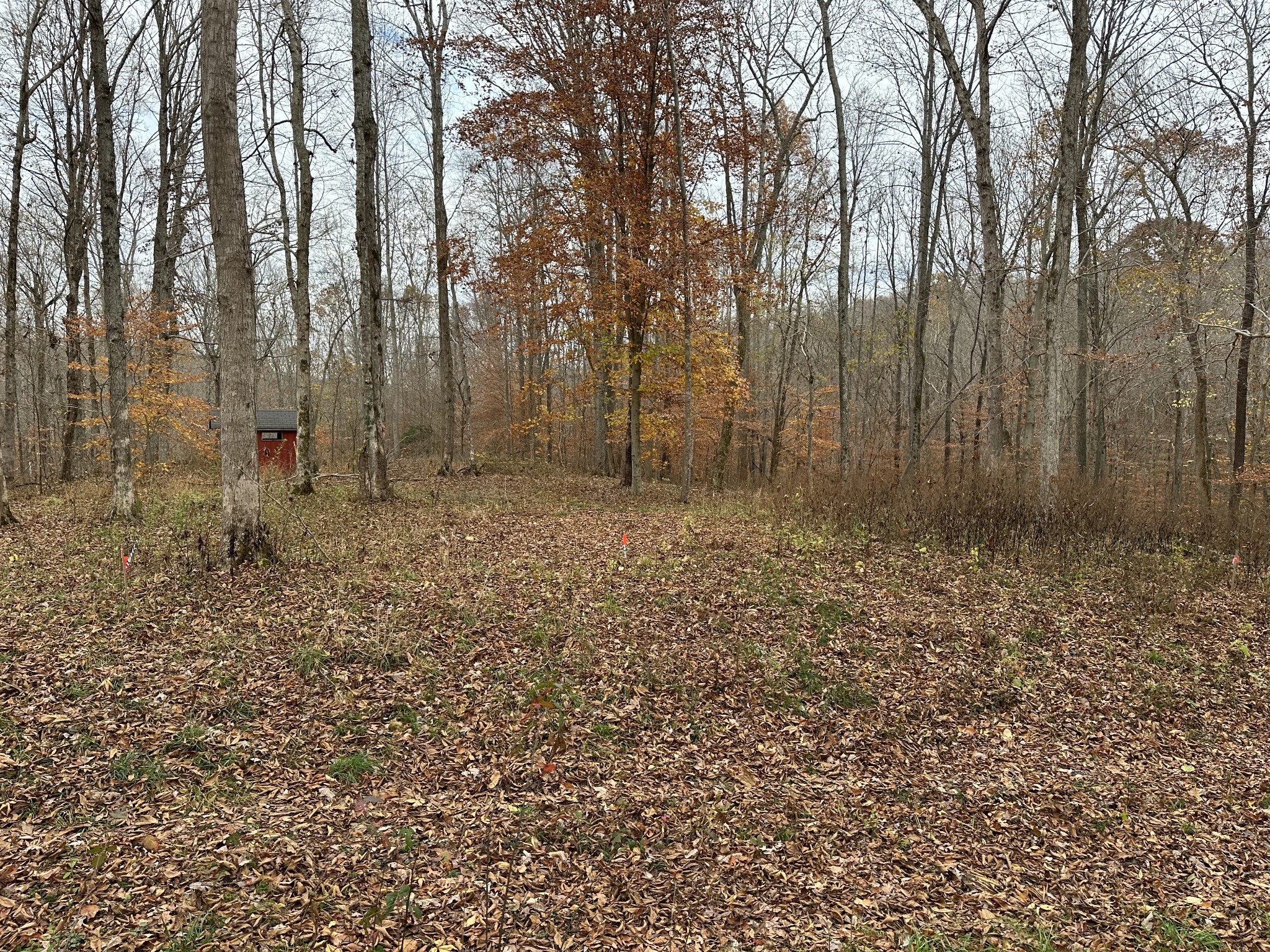 0 Doug Thompson Road Franklin, TN 37064 - Photo 24 of 34 a view of outdoor space with lots of green trees