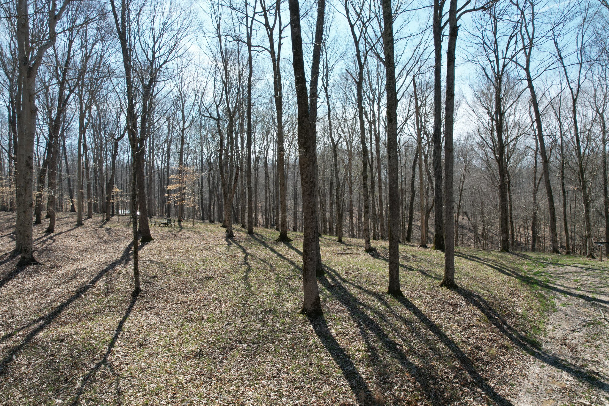 0 Doug Thompson Road Franklin, TN 37064 - Photo 25 of 34 a view of a backyard with tall trees