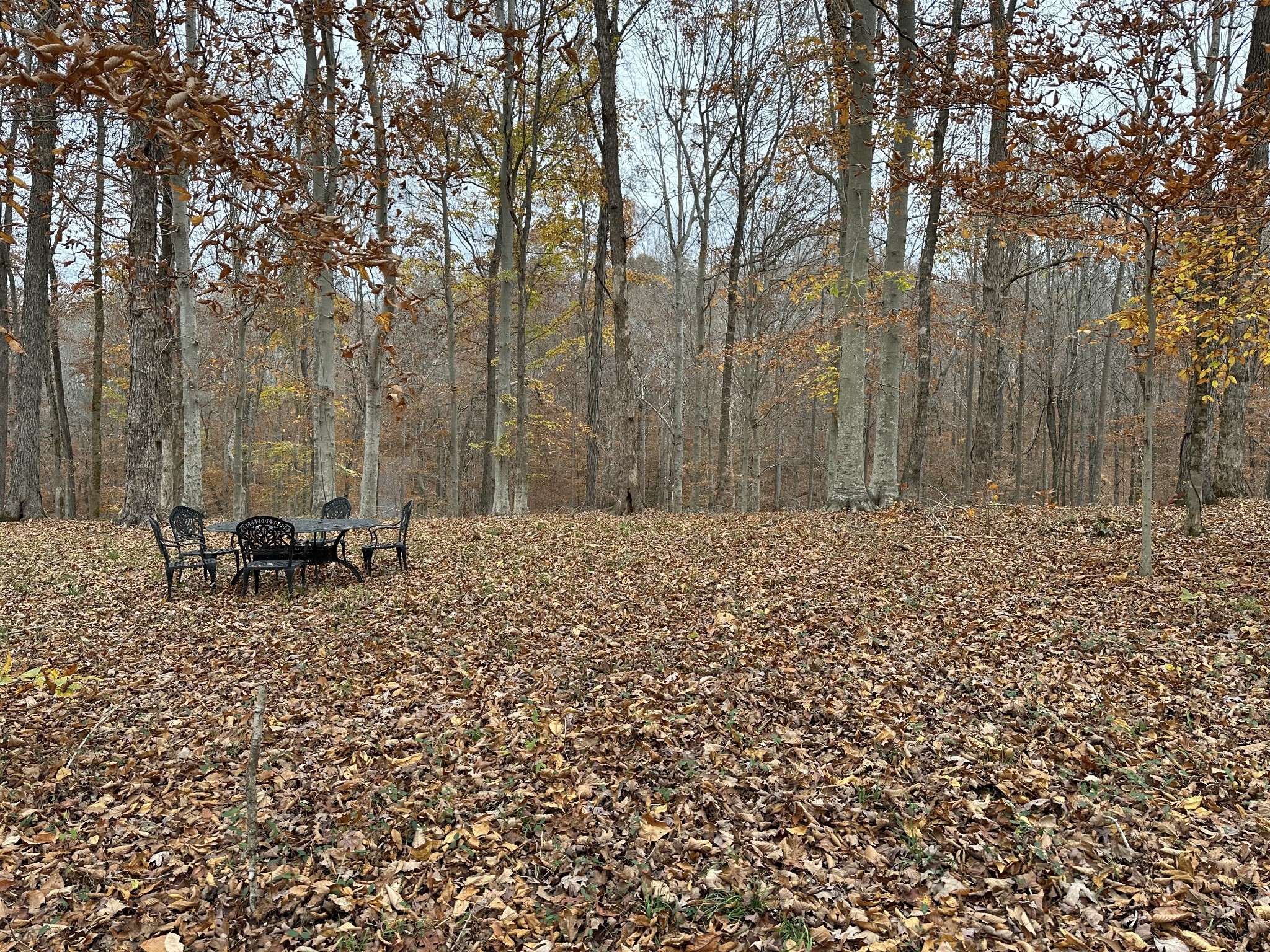 0 Doug Thompson Road Franklin, TN 37064 - Photo 27 of 34 a view of house with trees in the background