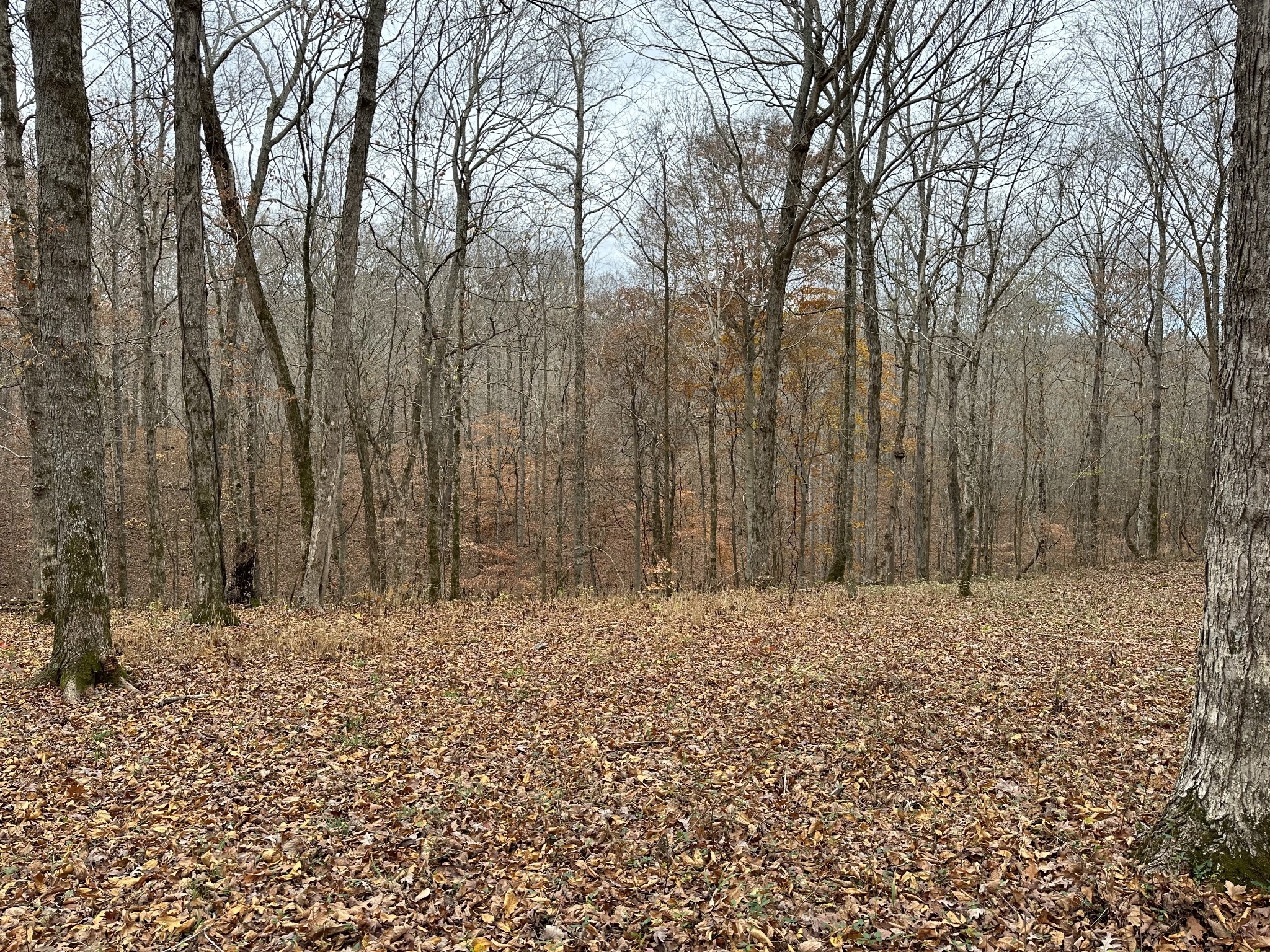 0 Doug Thompson Road Franklin, TN 37064 - Photo 28 of 34 a view of wooden fence