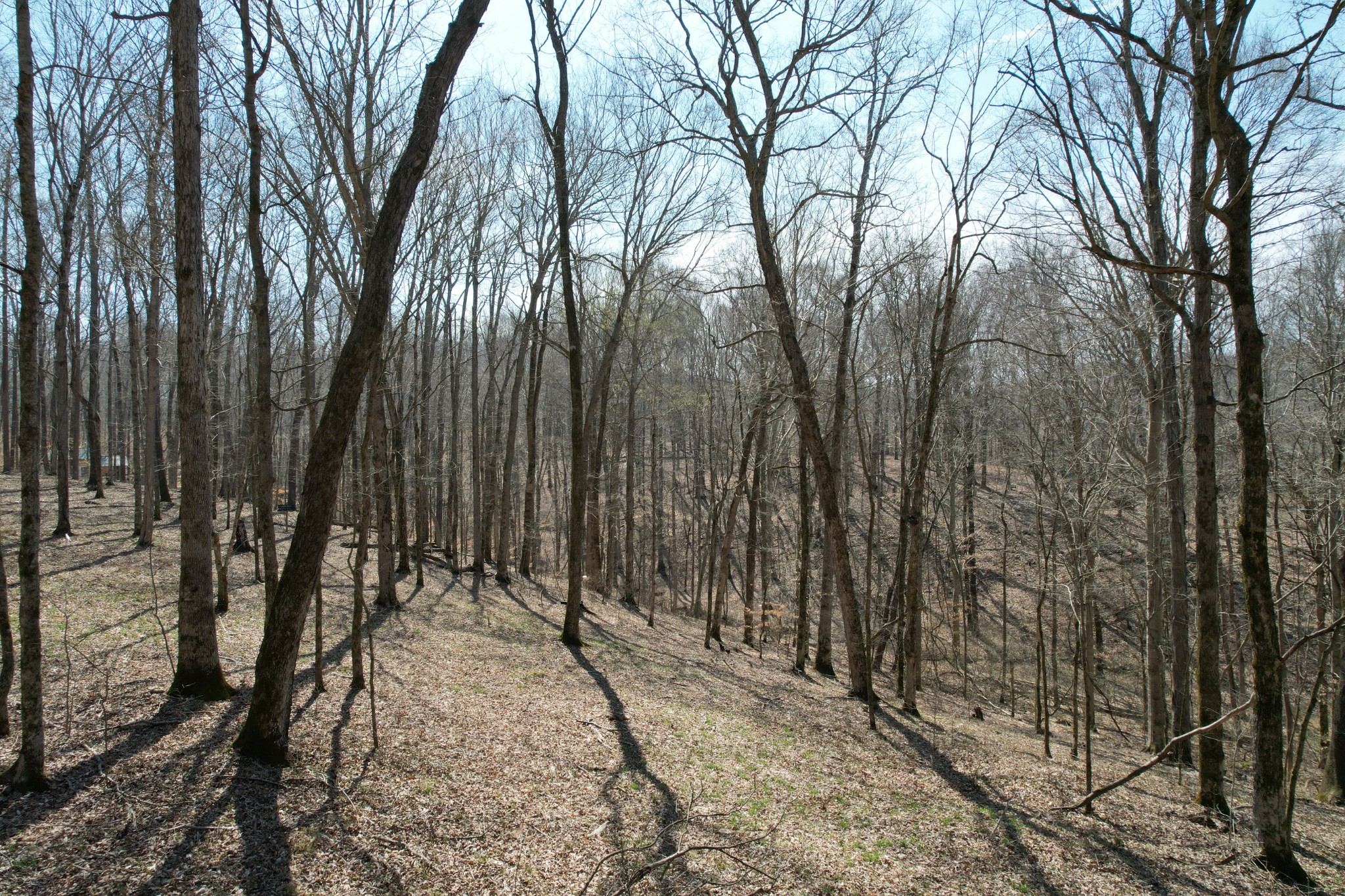 0 Doug Thompson Road Franklin, TN 37064 - Photo 31 of 34 a view of outdoor space with lots of trees
