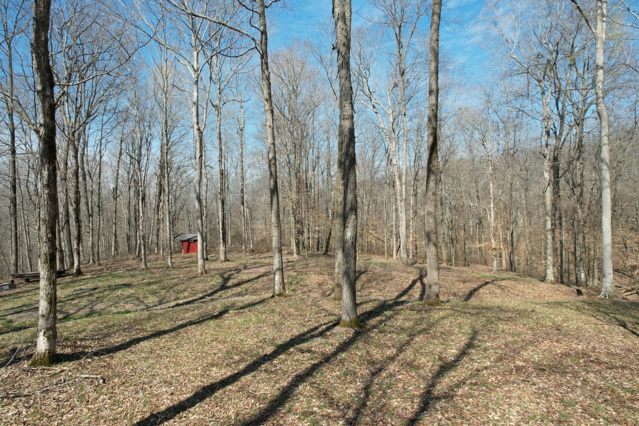 0 Doug Thompson Road Franklin, TN 37064 - Photo 34 of 34 a view of a backyard of the house