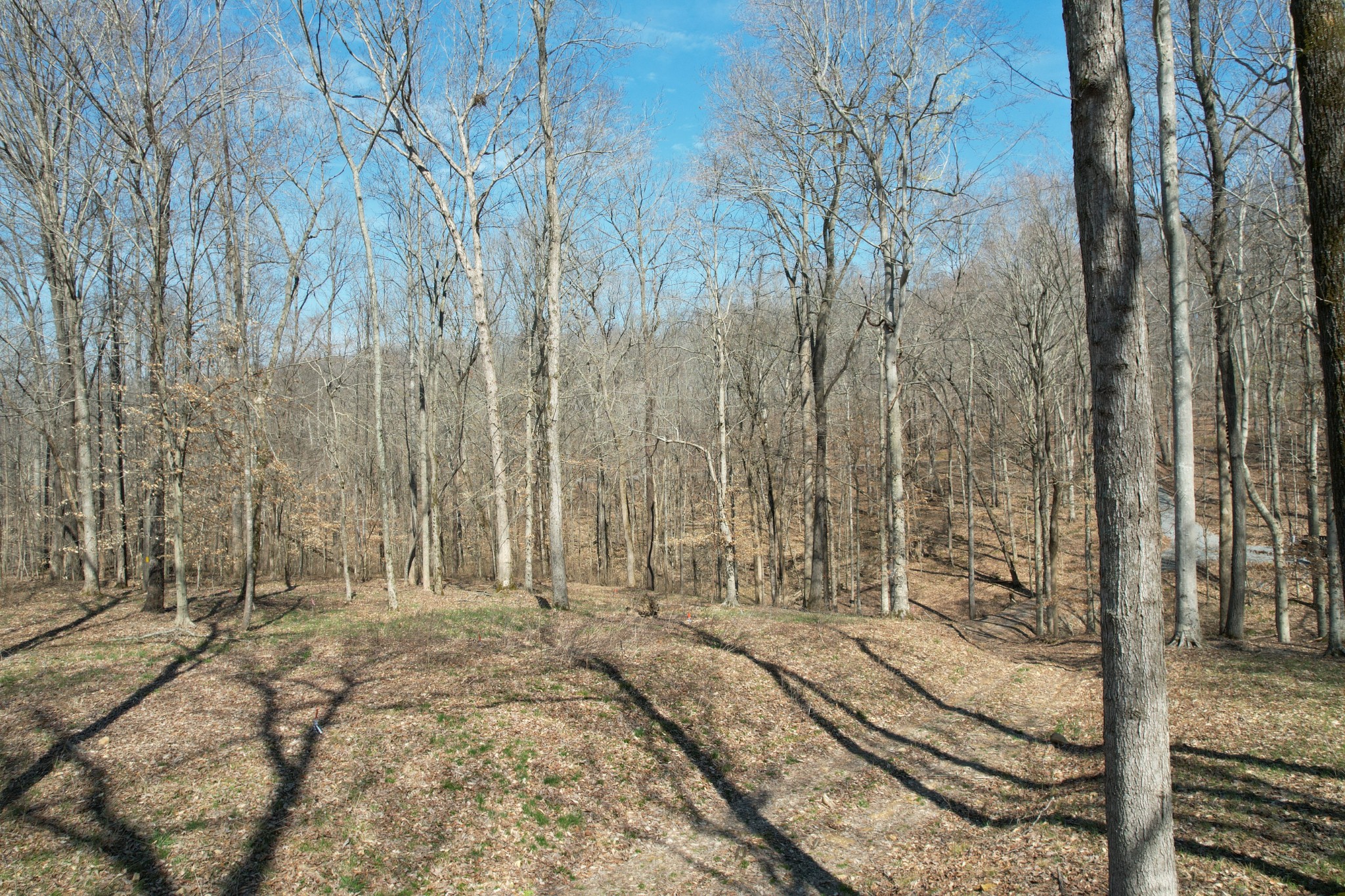 0 Doug Thompson Road Franklin, TN 37064 - Photo 4 of 34 a view of a entrance