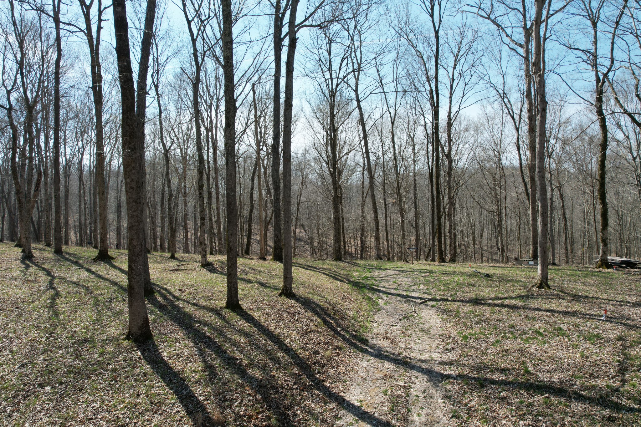 0 Doug Thompson Road Franklin, TN 37064 - Photo 5 of 34 a backyard of a house with lots of green space