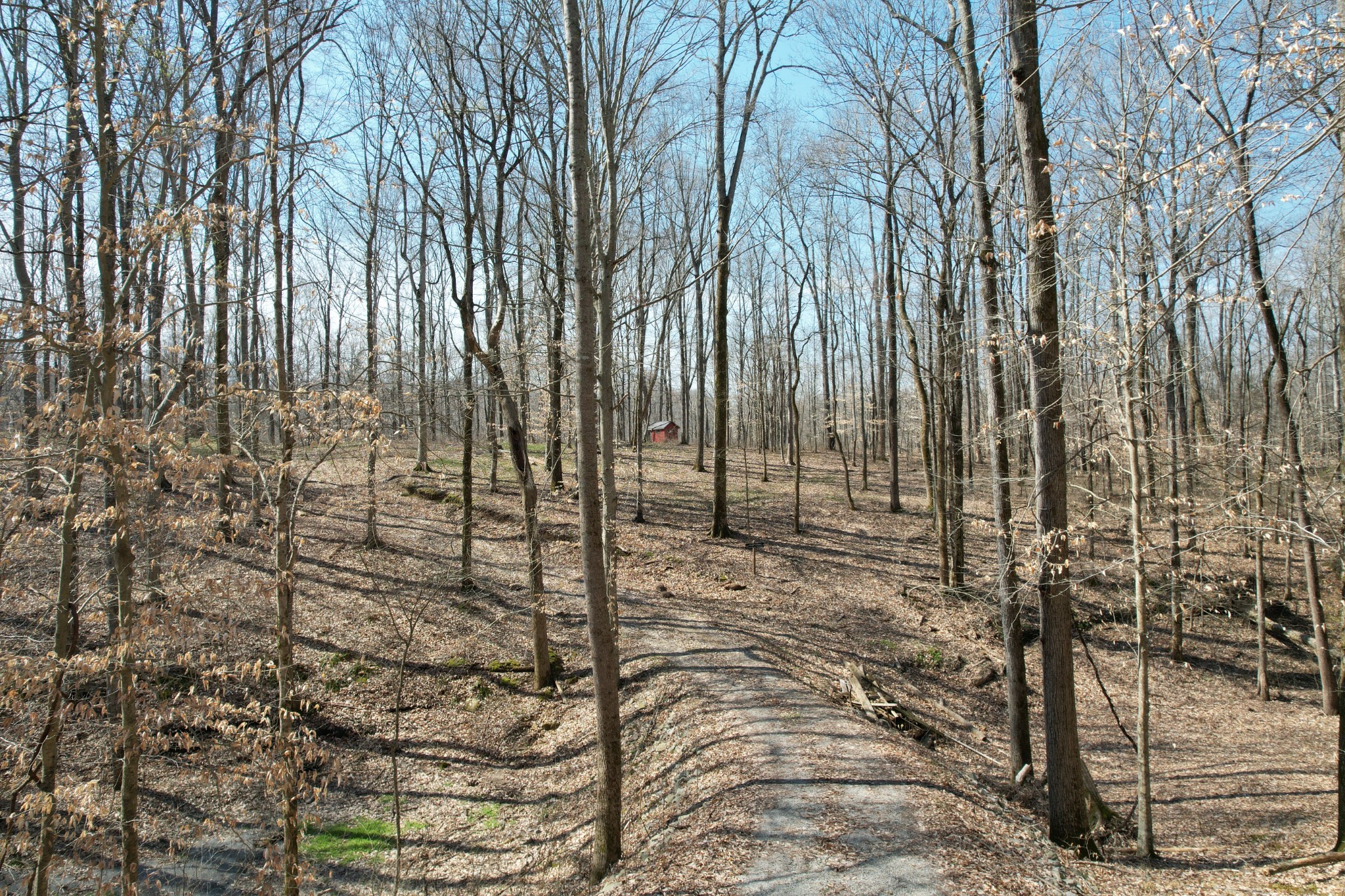 0 Doug Thompson Road Franklin, TN 37064 - Photo 6 of 34 view of yard