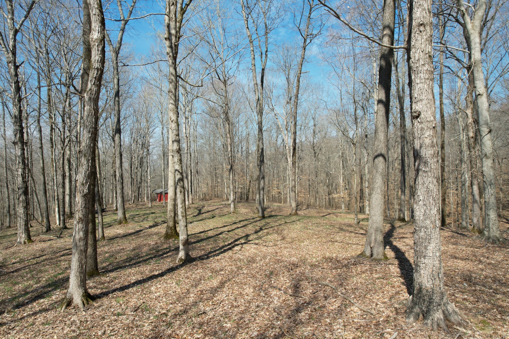 0 Doug Thompson Road Franklin, TN 37064 - Photo 9 of 34 a view of backyard with wooden fence