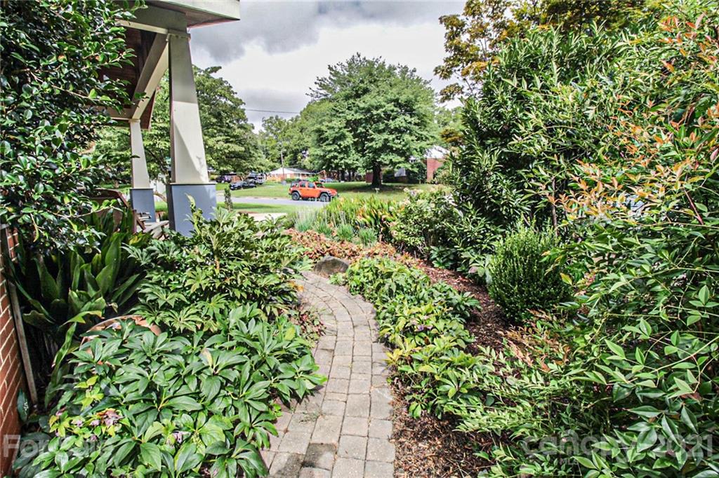 4227 Murrayhill Road Charlotte, NC 28209 - Photo 4 of 24 a view of a garden with large trees